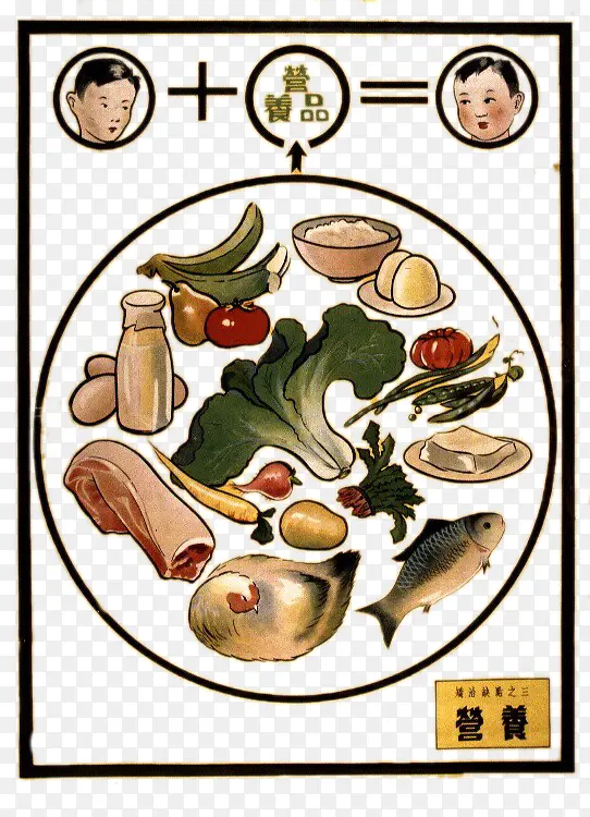 Ӫ��ʳƷ-������