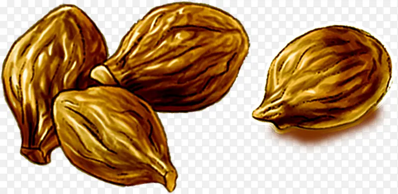 �ֻ���ʳ��Ӫ��-������