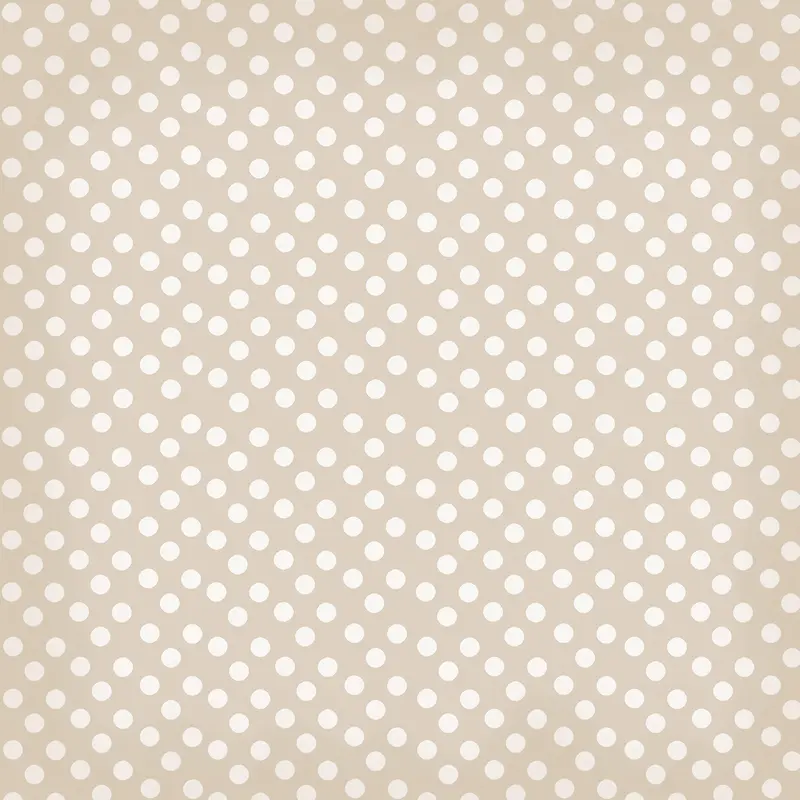 СԲ�㱳��-������