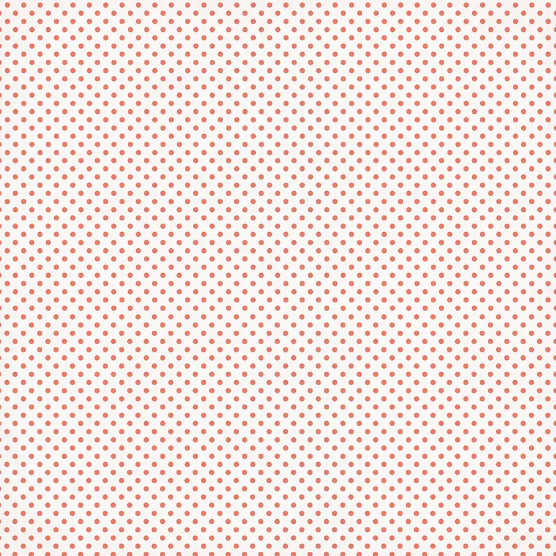 СԲ�㱳��-������