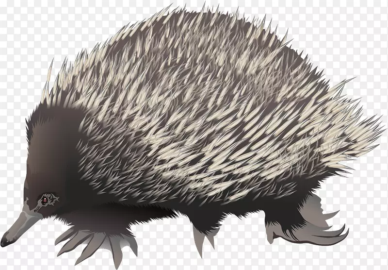 ָ�ؽڣ�ʳ���޶�๼�����ʳ����-������