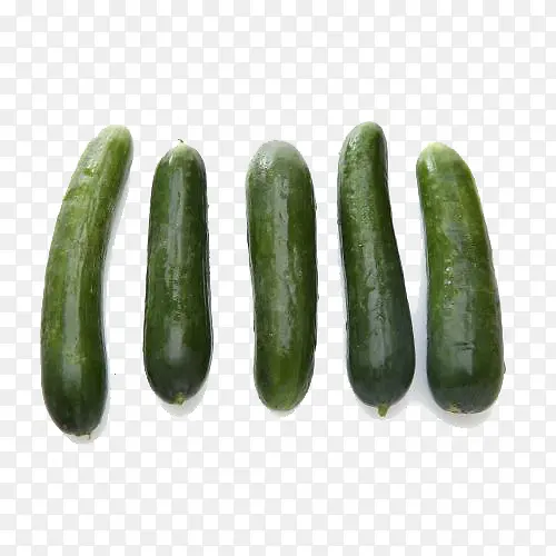 �л���ƹ�-������