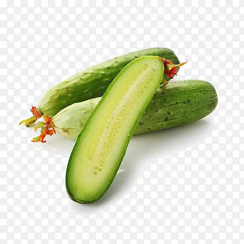 ʳ����ƹ�-������