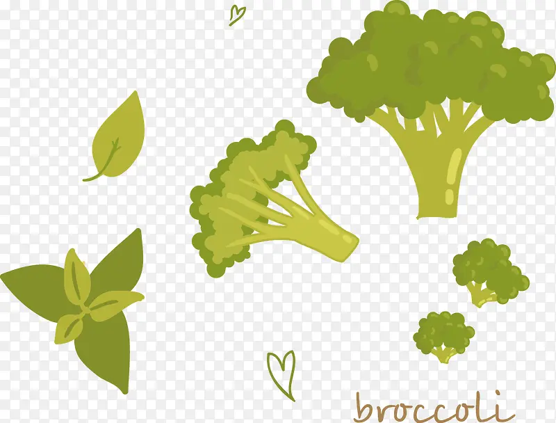 ��ͨ�ֻ��߲�-������