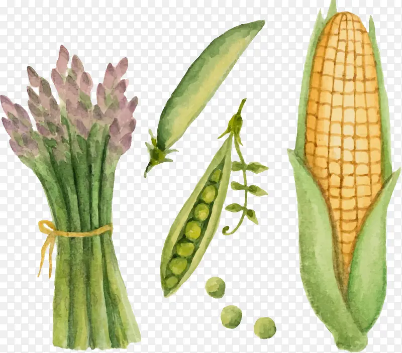 ˮ���߲�-������