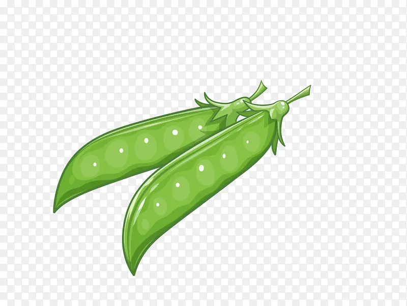 ʸ���߲˶���-������