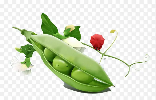 ��ɫʳ���ඹ-������