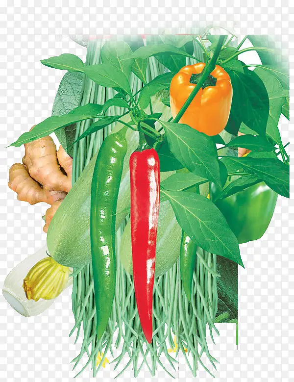 �߲�-������