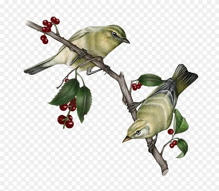 ��֦����-������