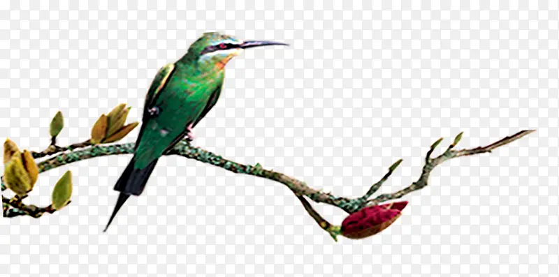 ��ľ�����֦-������