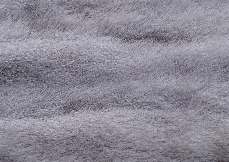 Ƥë��������-������