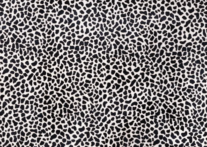 ����Ƥë����-������