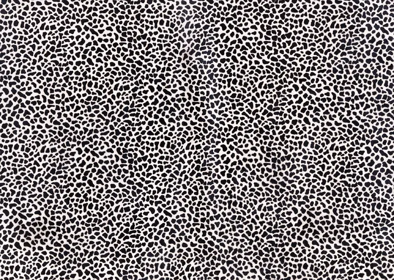 ����Ƥë����-������