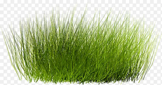 С��-������