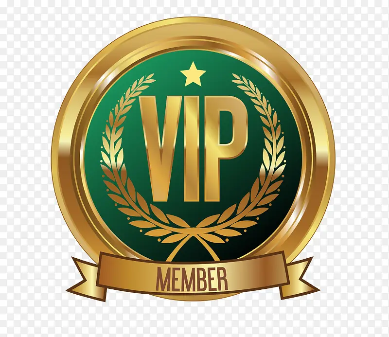 ʸ��VIP��־�ز�-������