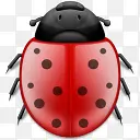 ����������ư��phuzion-������