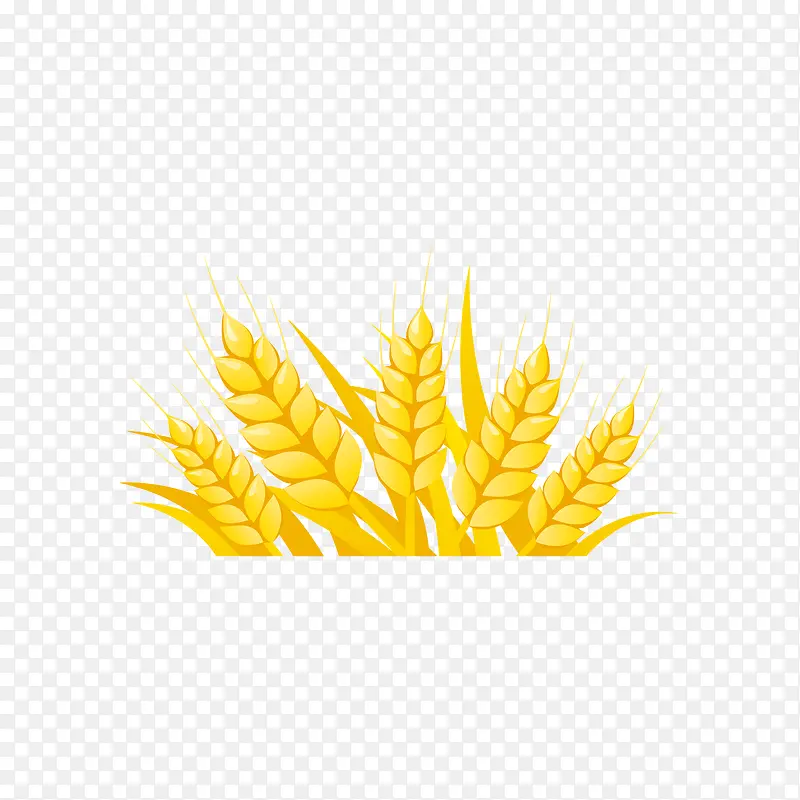 ��ɫ����������-������