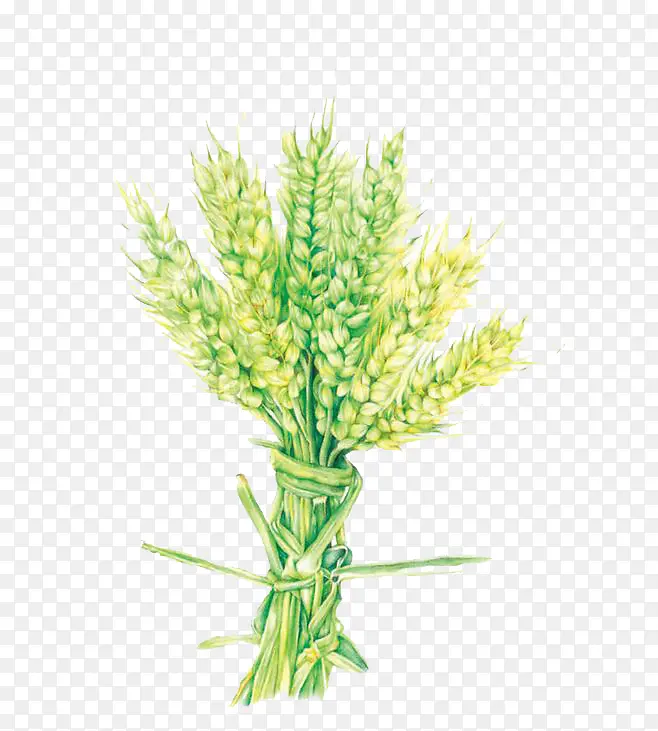 ˮ������-������