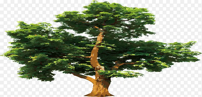 �ֻ���� ʸ������-������