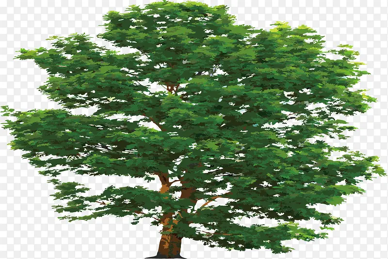 ʸ�������ֻ����-������