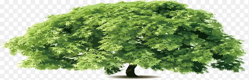 ������ľ��ͨ����-������