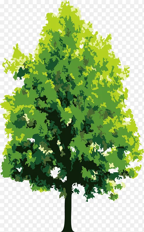 ��ͨ�����ֻ�����-������