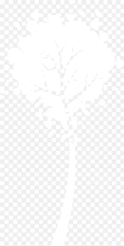 ��ɫ������ʻ�-������