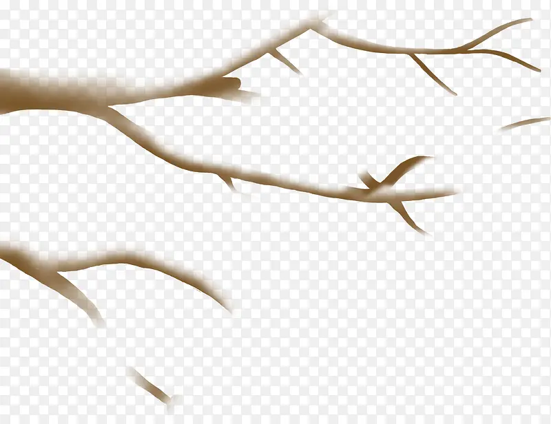 ������֦��÷���-������