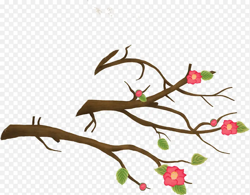 ������֦��÷�������-������