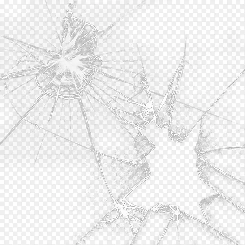 �Գ��߽ṹ��״����-������