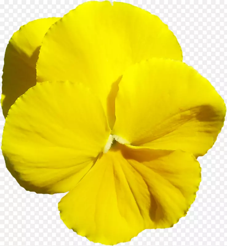 ���ܲ�������ĸ��д-����-������