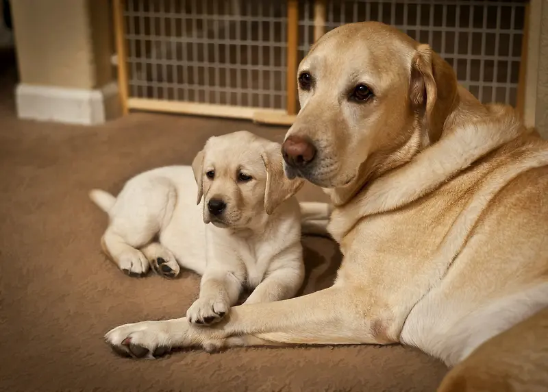 �а�������������-������