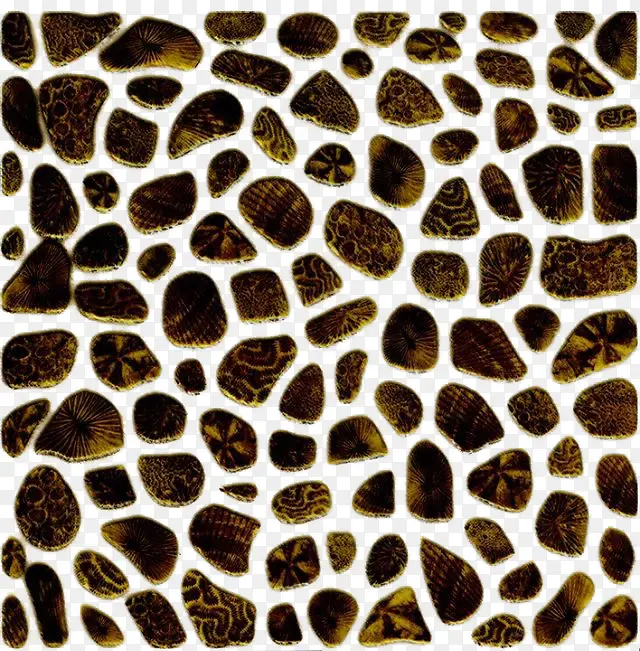 ��ʵĻ���ʯͷ-������