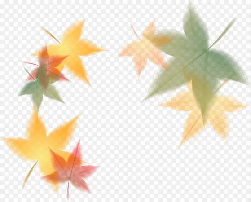 ��Ҷʸ���ز�-������