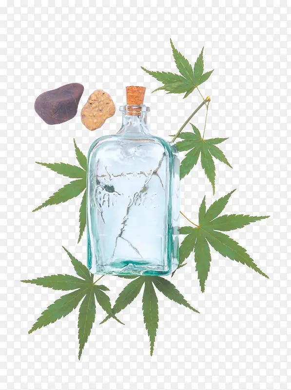 ��ɫ��Ҷ-������