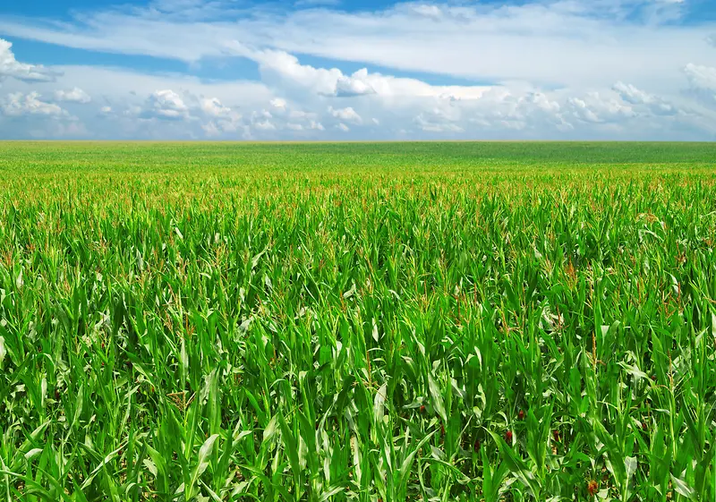 �����µ��̲�-������