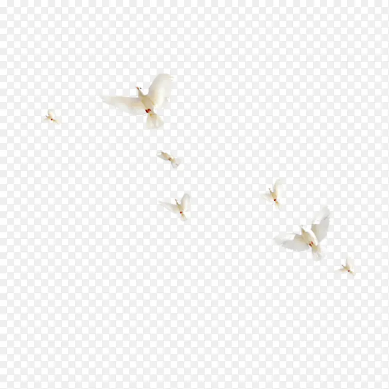 ��ɫ�Ÿ�-������