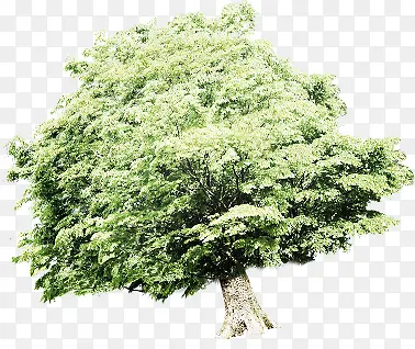 �����µĴ������-������