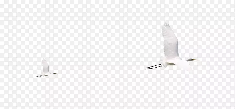 �ڰ״�ש�ذ�ʽ���ػ�-������