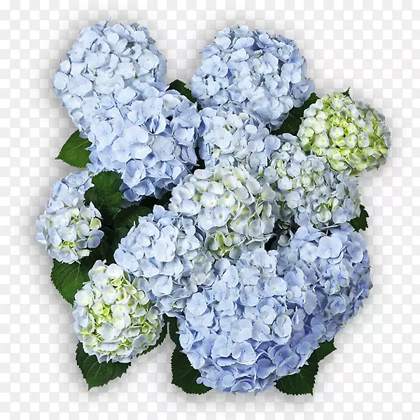 �л�����-������