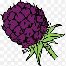 ʳ���ݮopen-icon-library-others-i-������