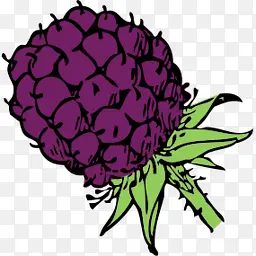 ʳ���ݮopen-icon-library-others-i-������