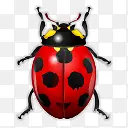 �����������ư����-������