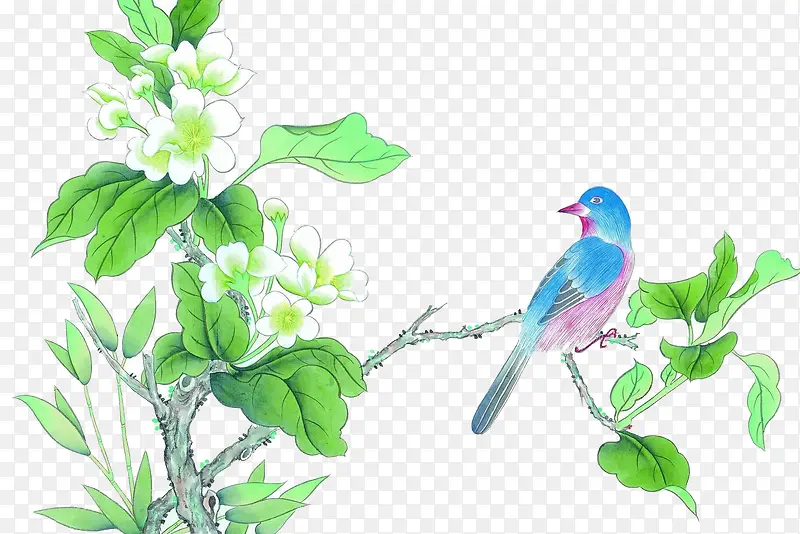 ��ɫ֦Ҷ-������