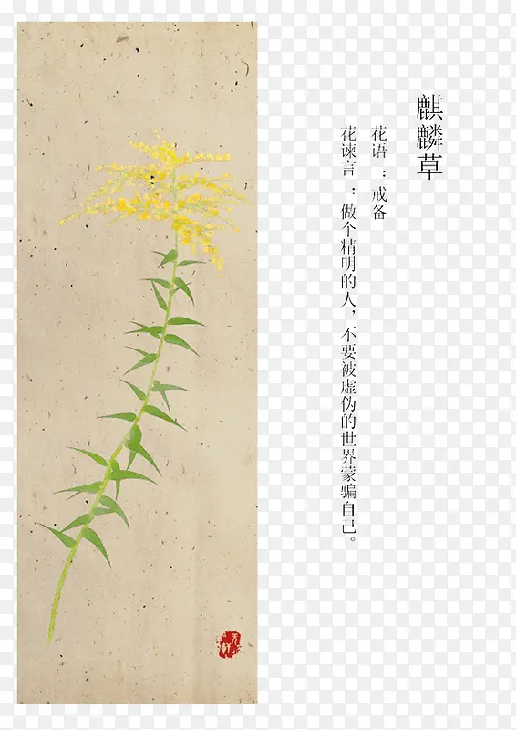 ����ݻ���-������