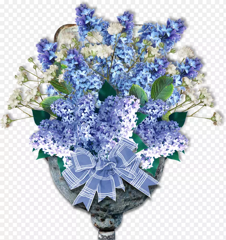 �л��϶��㻨-������