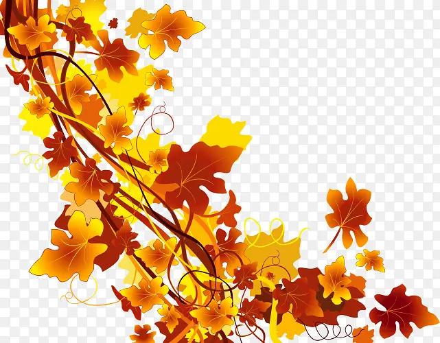 �廭ֲ����-������