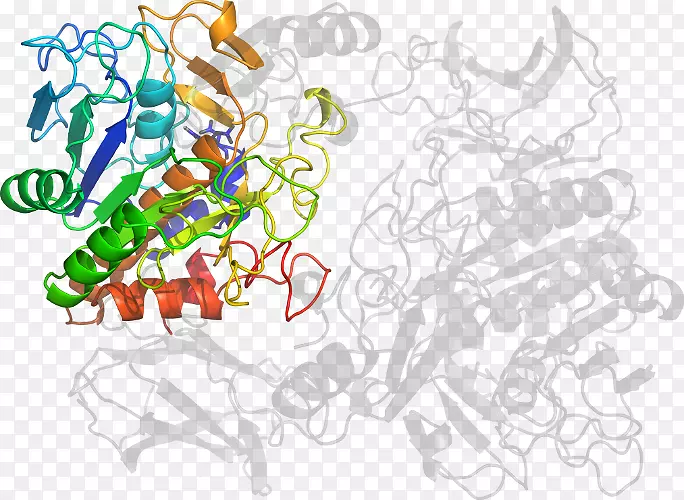 ƽ�����.ľ��-������