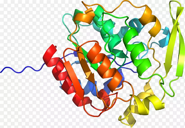 �������𽷡��߲�ʳƷ-ľ��-������