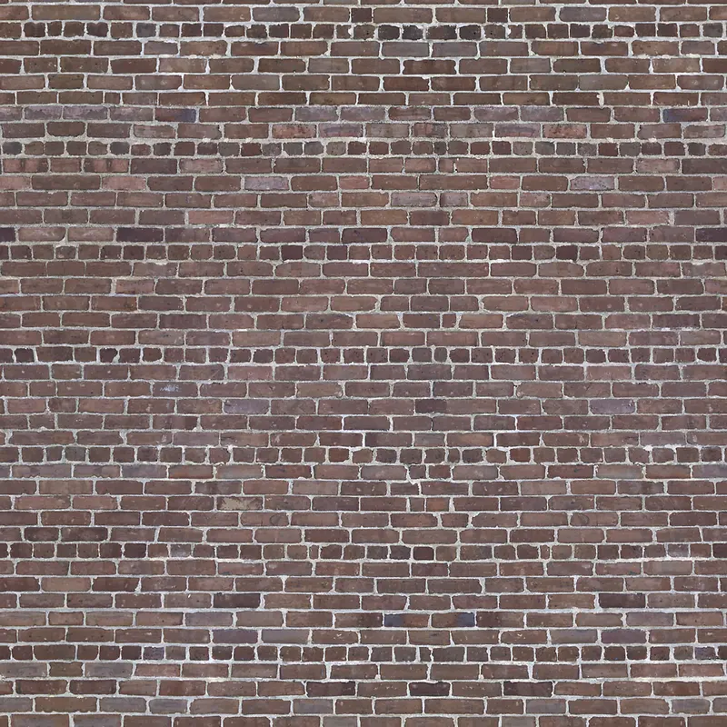 ǽ����Ӱ-������